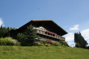 Отель Pension Chalet Bergseegut  Ваграйн